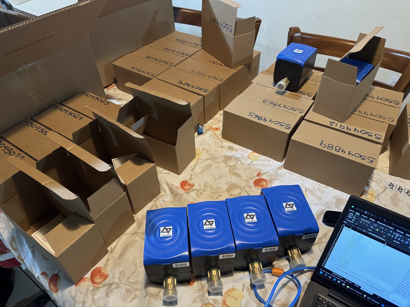 ASADA San Blas - Proyecto 4